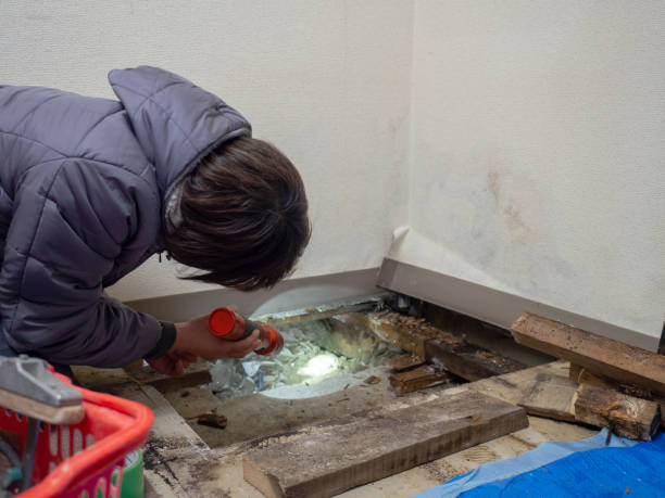 Best Air Quality Testing for Mold Spores  in Waterville, ME