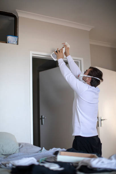 Mold Odor Removal Services in Waterville, ME