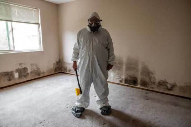 Best Mold Removal for HVAC Installations  in Waterville, ME